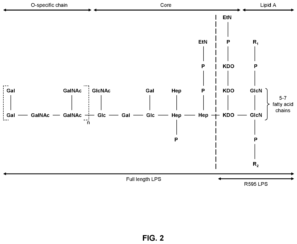 Lps extraction process