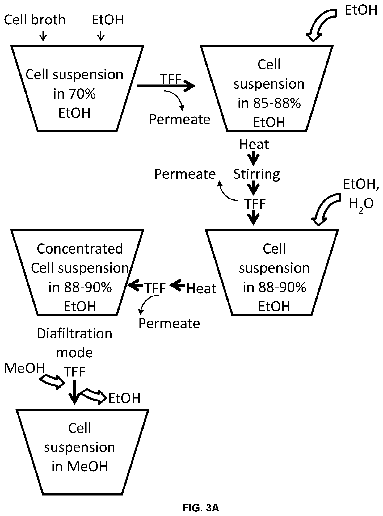 Lps extraction process