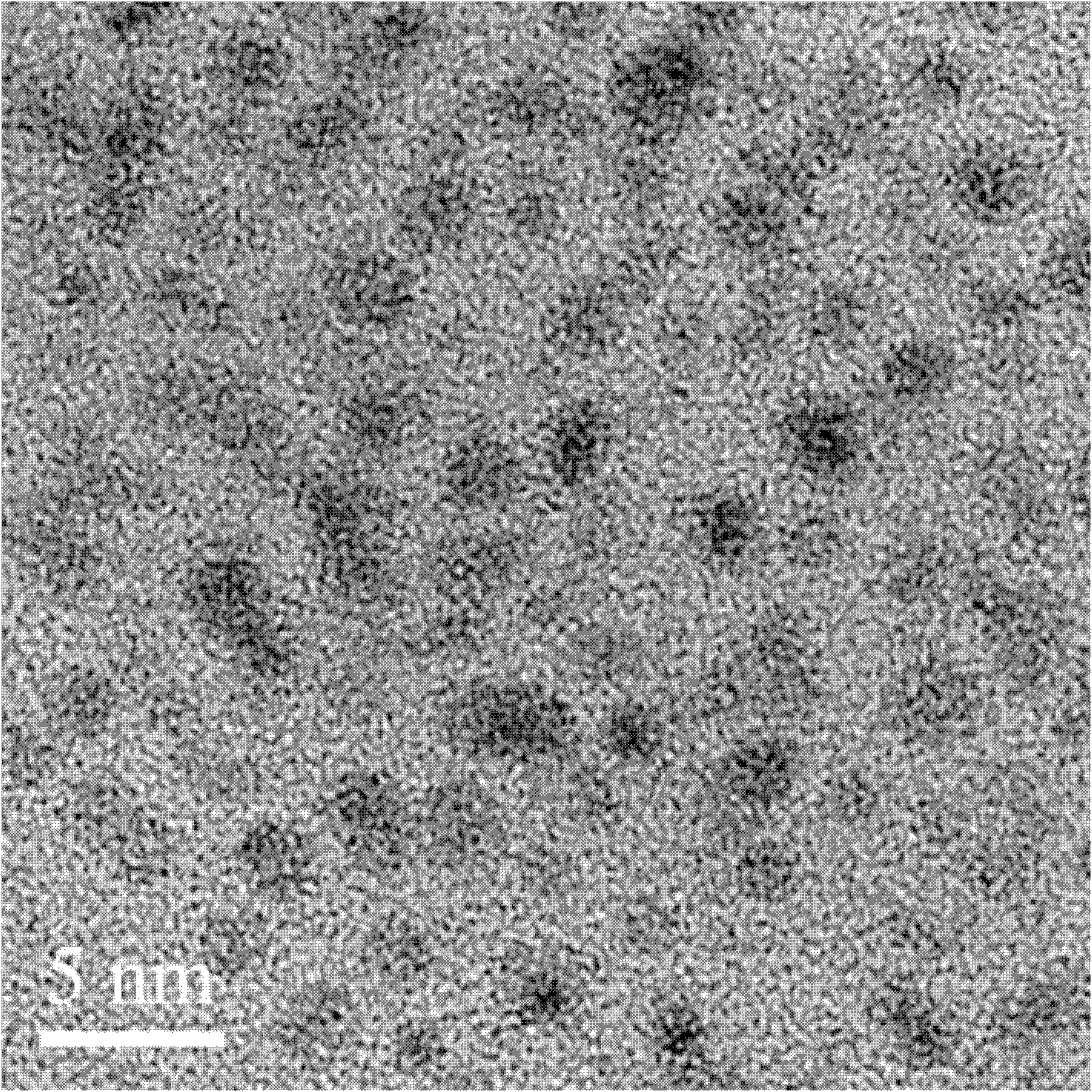 Fluorescent carbon quantum dots extracted from eggs and preparation method and application thereof