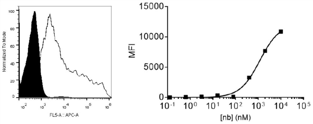 Specific antibody of new coronavirus S protein RBD region as well as preparation method and application of specific antibody