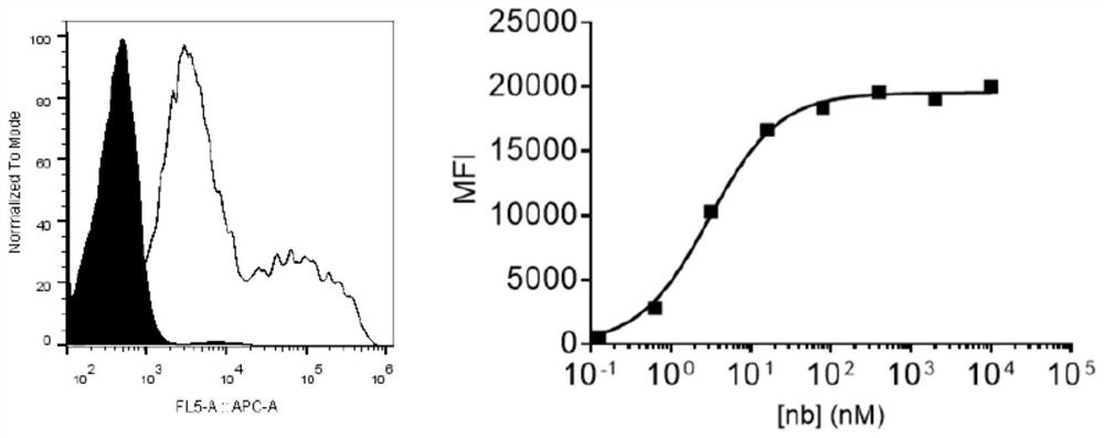 Specific antibody of new coronavirus S protein RBD region as well as preparation method and application of specific antibody