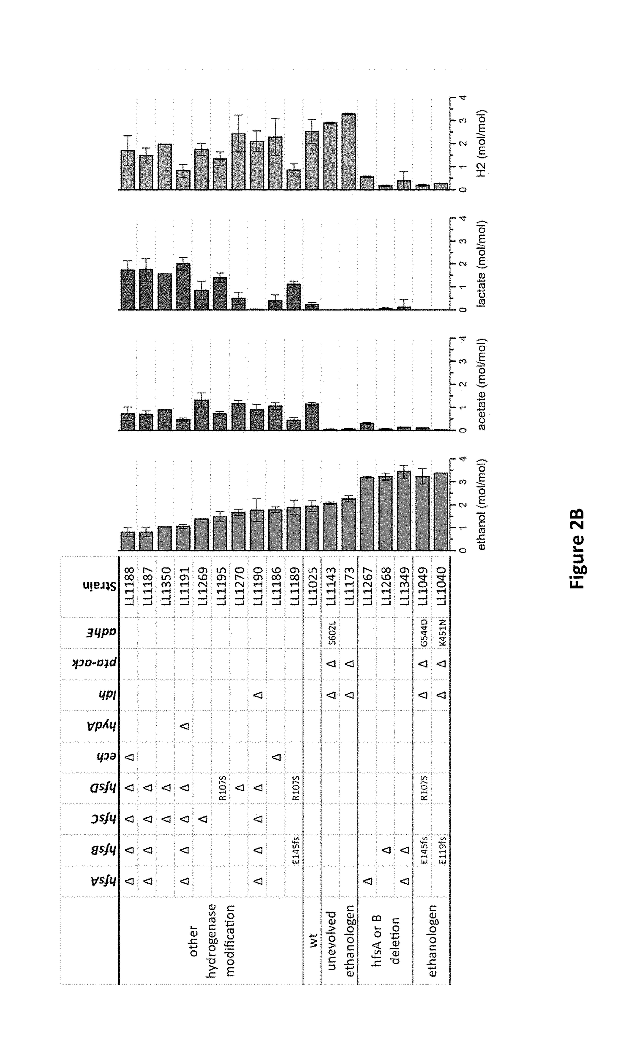 Increased ethanol production by thermophilic microorganisms with deletion of individual hfs hydrogenase subunits