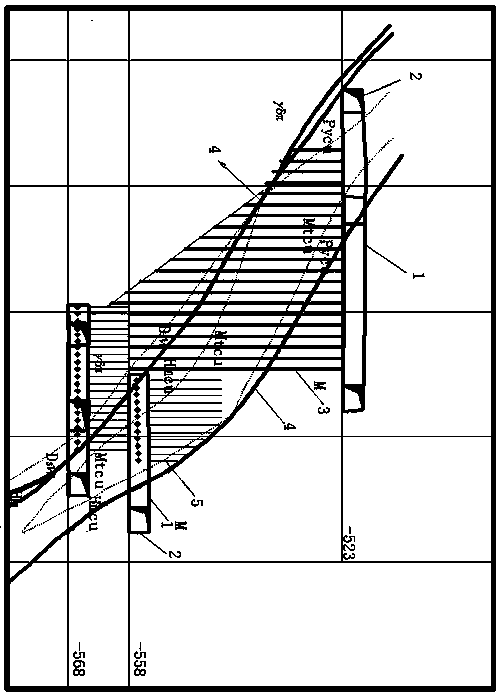 Method for delineating ore body through macropores