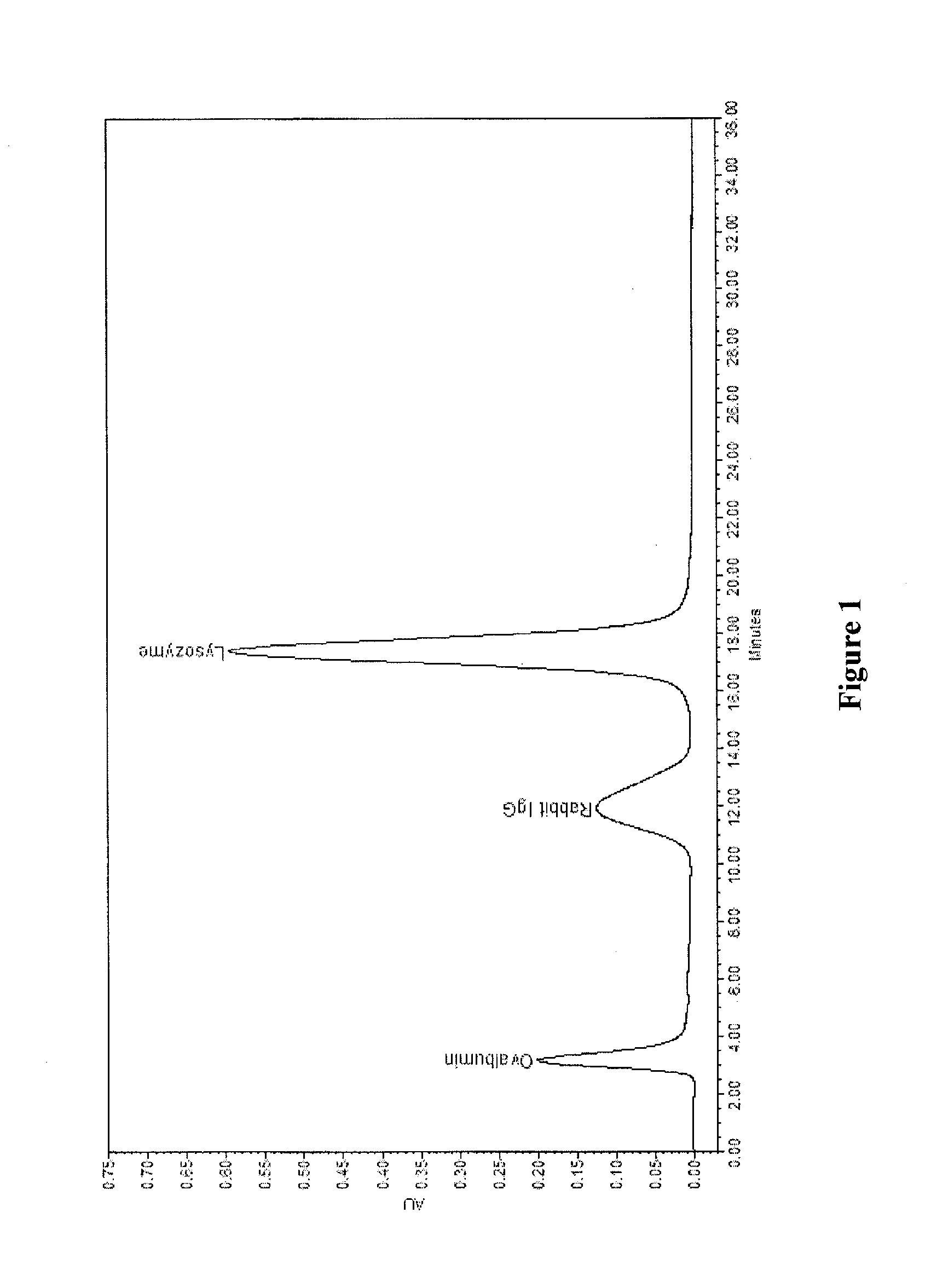 Novel chromatographic media based on allylamine and its derivative for protein purification