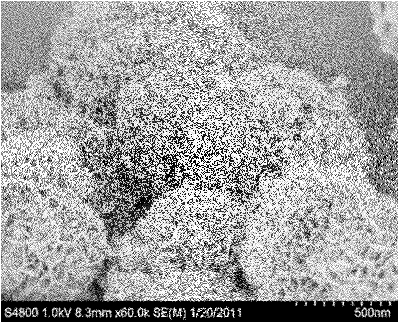 Preparation method of laccase/multihole nanometer titanium dioxide modified electrode