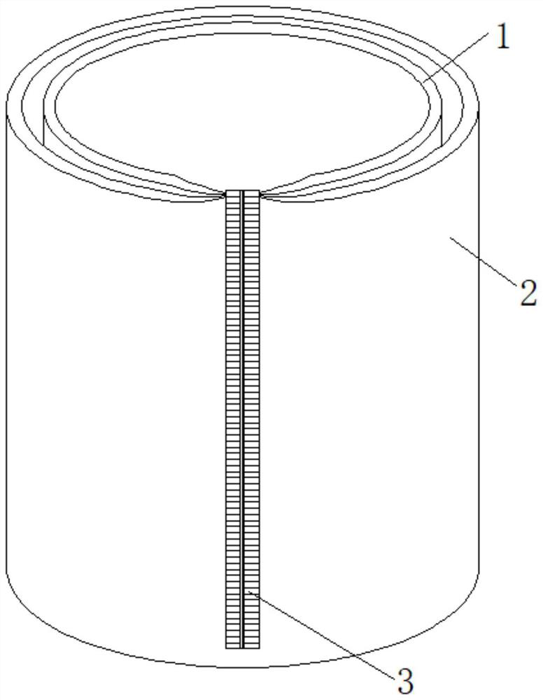 Seedling culture container for the cyclocarya paliurus and seedling raising method for improving cyclocarya paliurus seedling quality