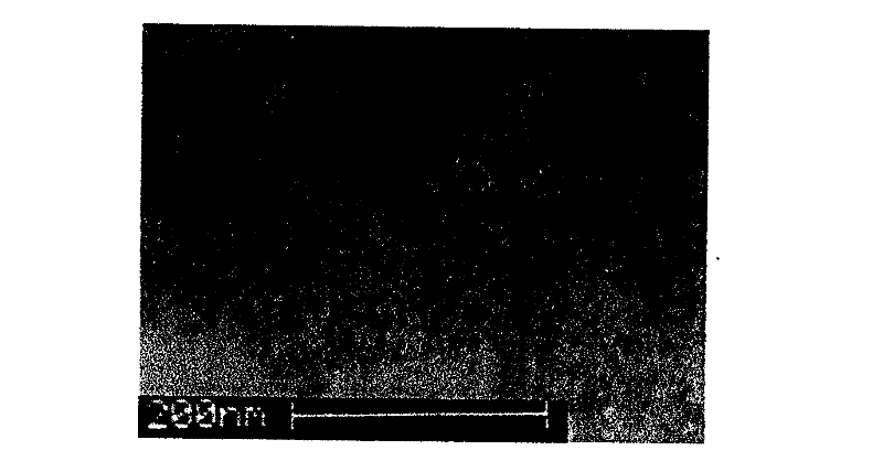 Process for preparing silicon dioxide aerogel using rice husk ash as raw material