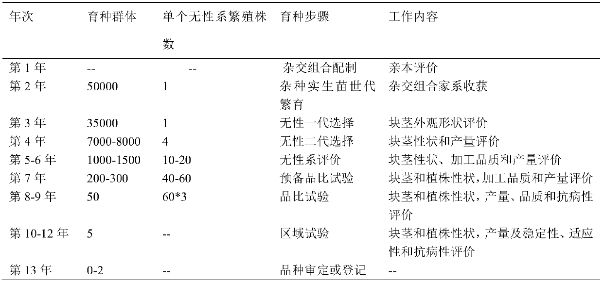 Rapid breeding method of potatoes