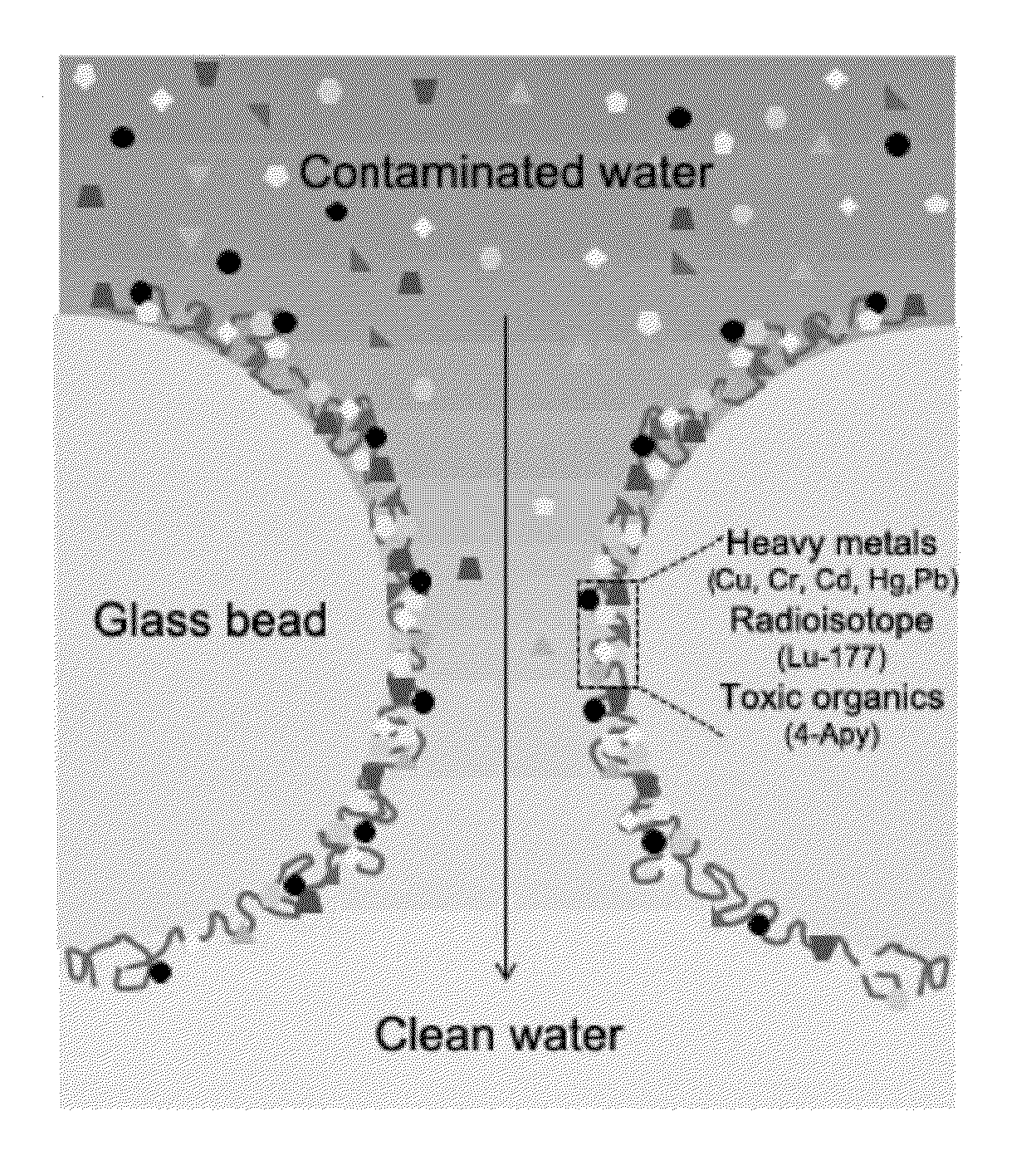 Water Detoxification by a Substrate-Bound Catecholamine Adsorbent