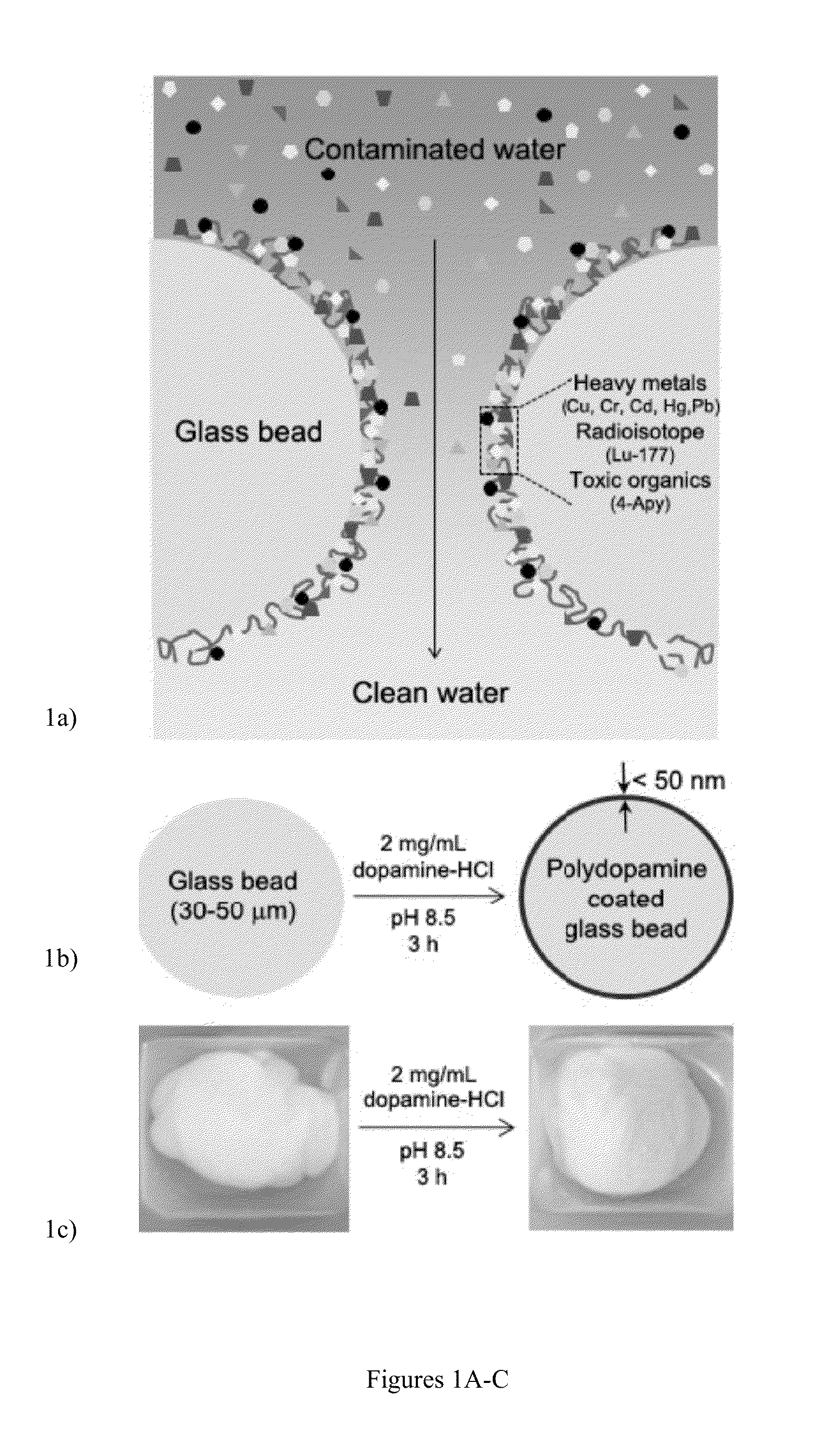 Water Detoxification by a Substrate-Bound Catecholamine Adsorbent