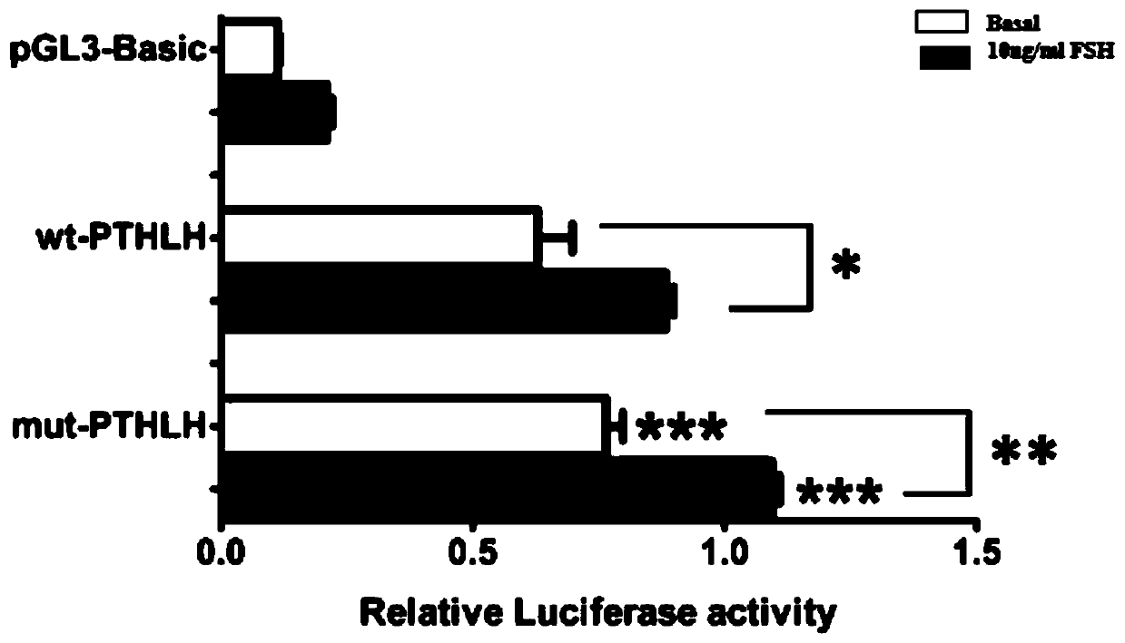 Molecular marker method of two mutation sites in the 5′ regulatory region of chicken pthlh gene and its application in chicken breeding