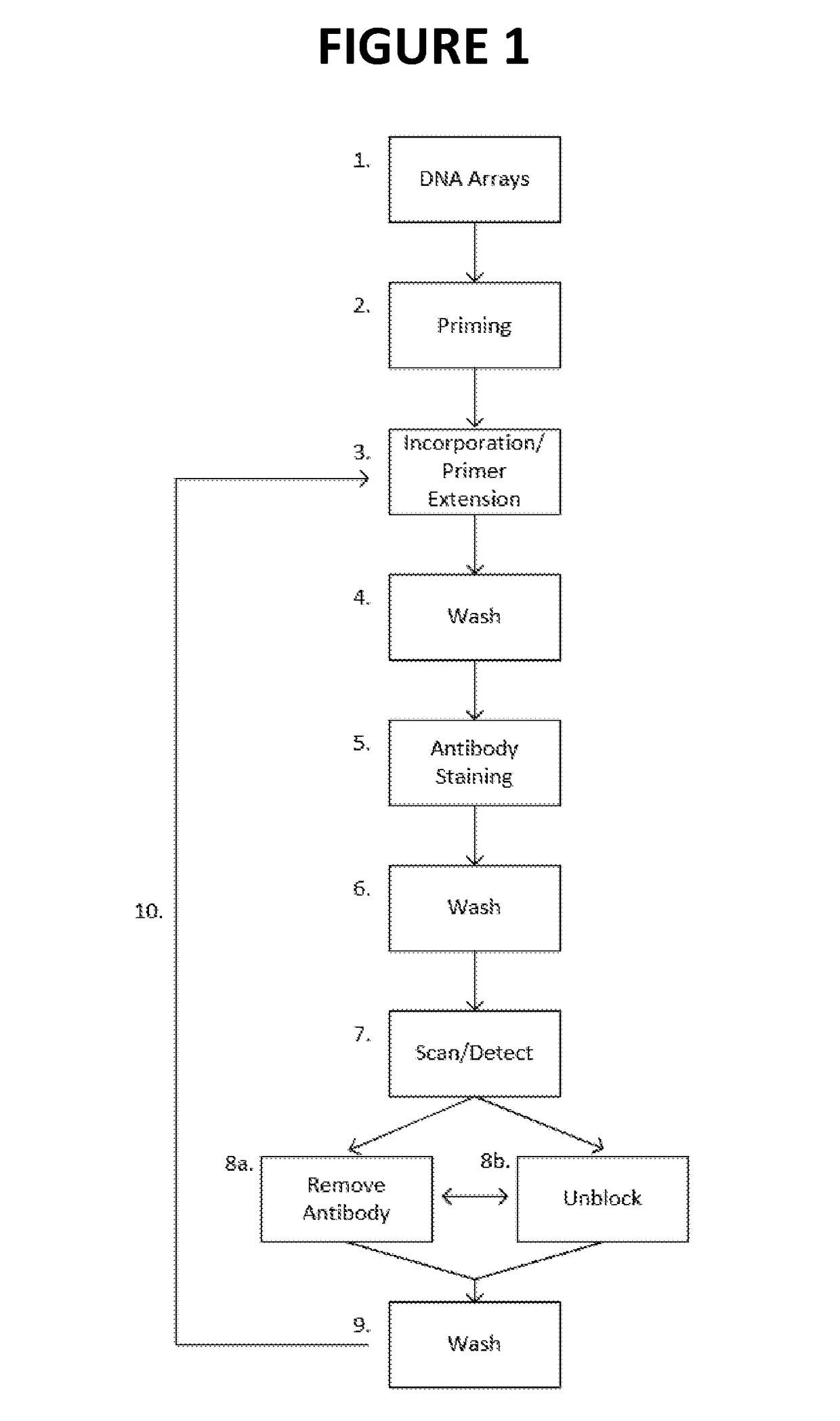 Stepwise sequencing by non-labeled reversible terminators or natural nucleotides