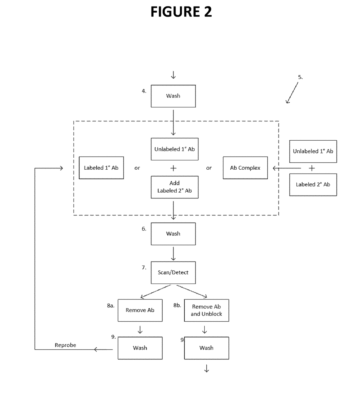 Stepwise sequencing by non-labeled reversible terminators or natural nucleotides