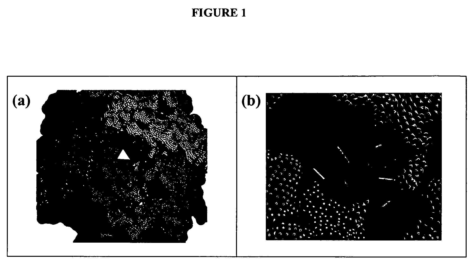 Compositions and methods for altering immune function