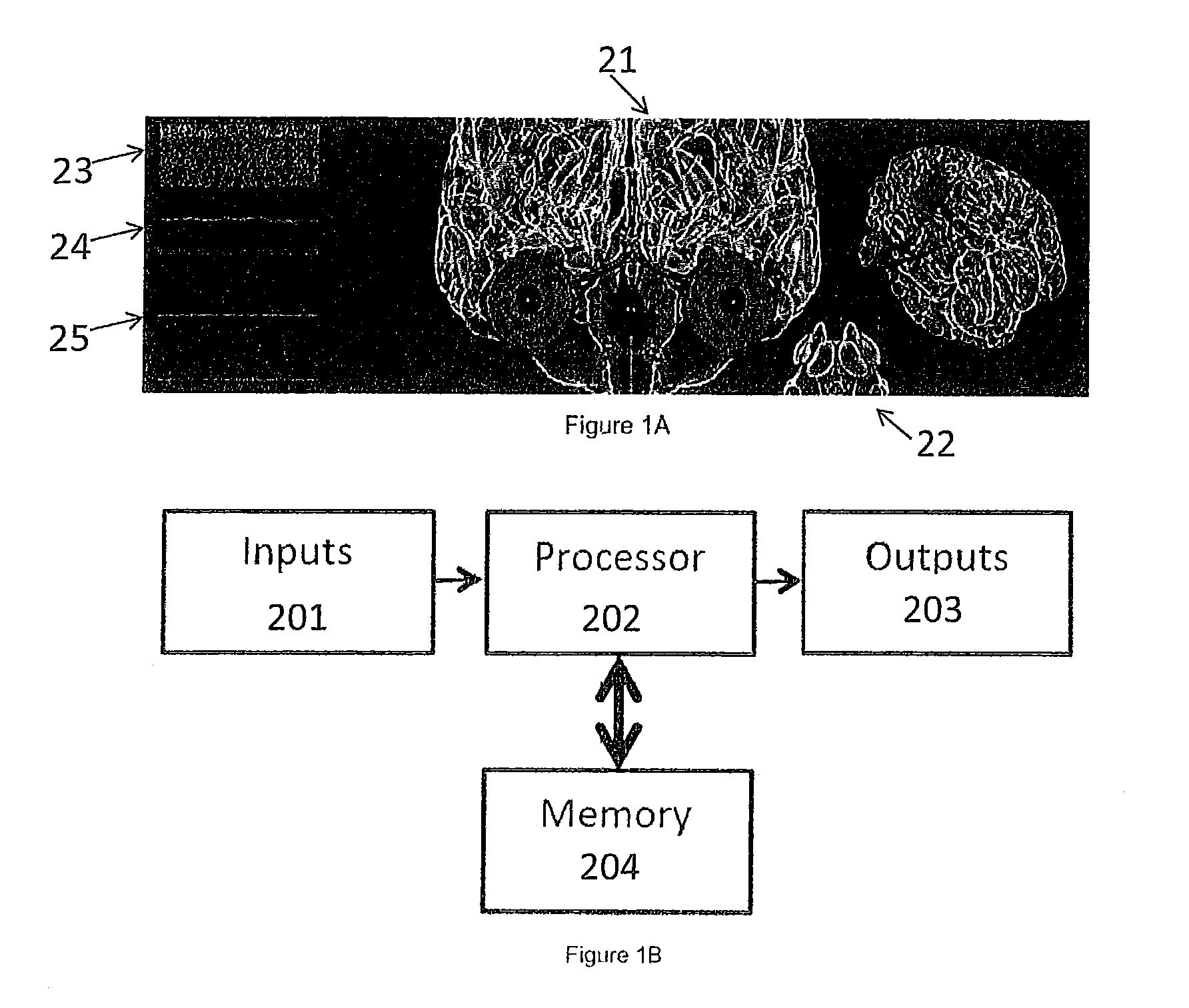 System for neurobehavioural animation