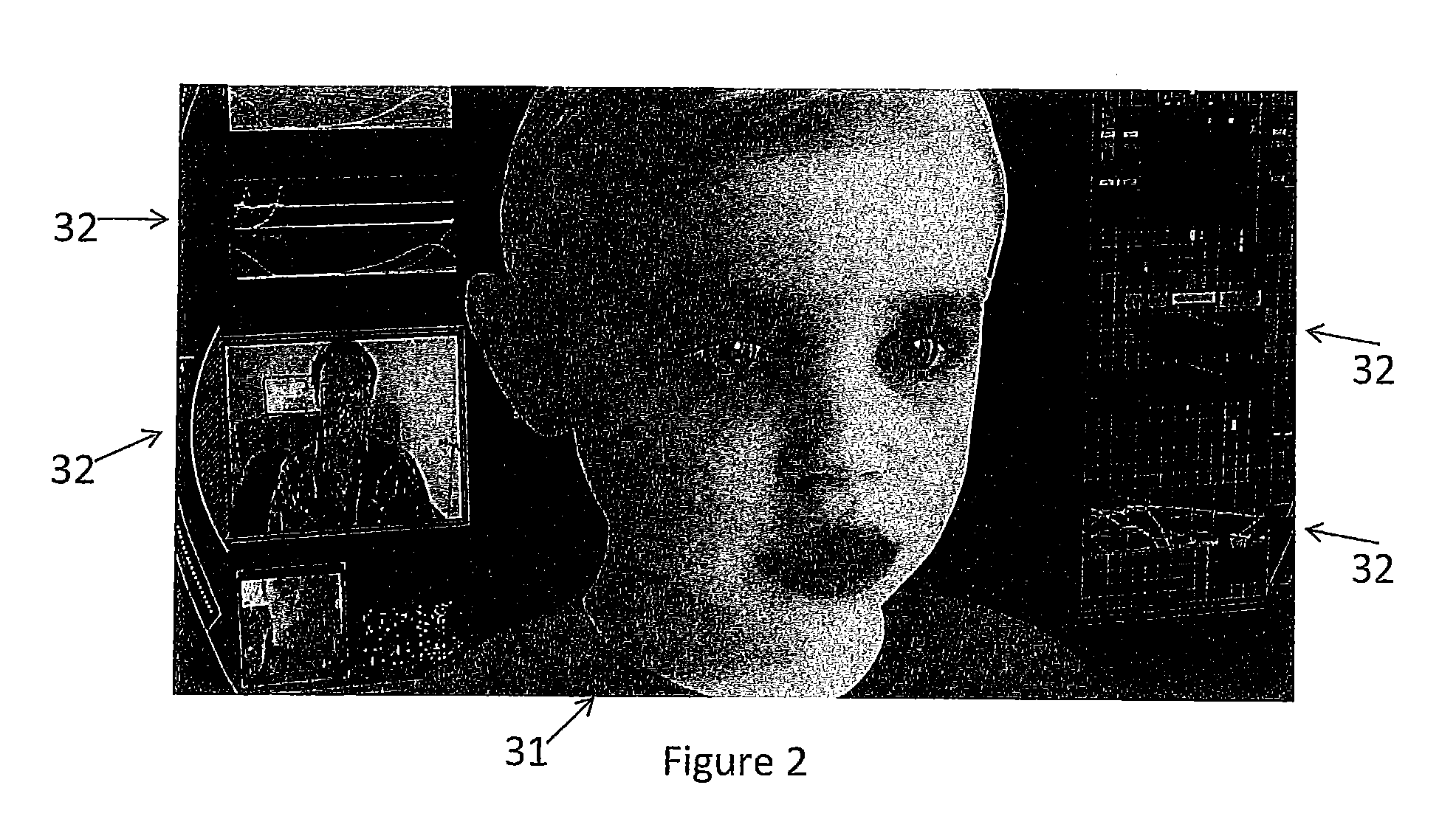 System for neurobehavioural animation