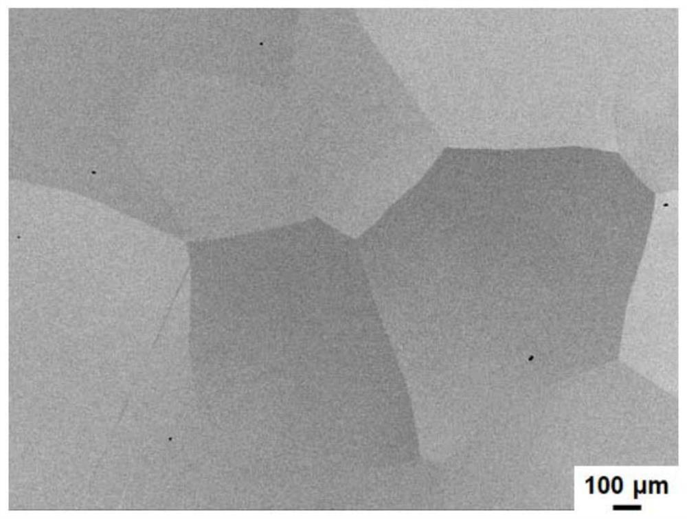 Multi-principal-element alloy containing BCC/B2 double-phase structure and preparation method of multi-principal-element alloy