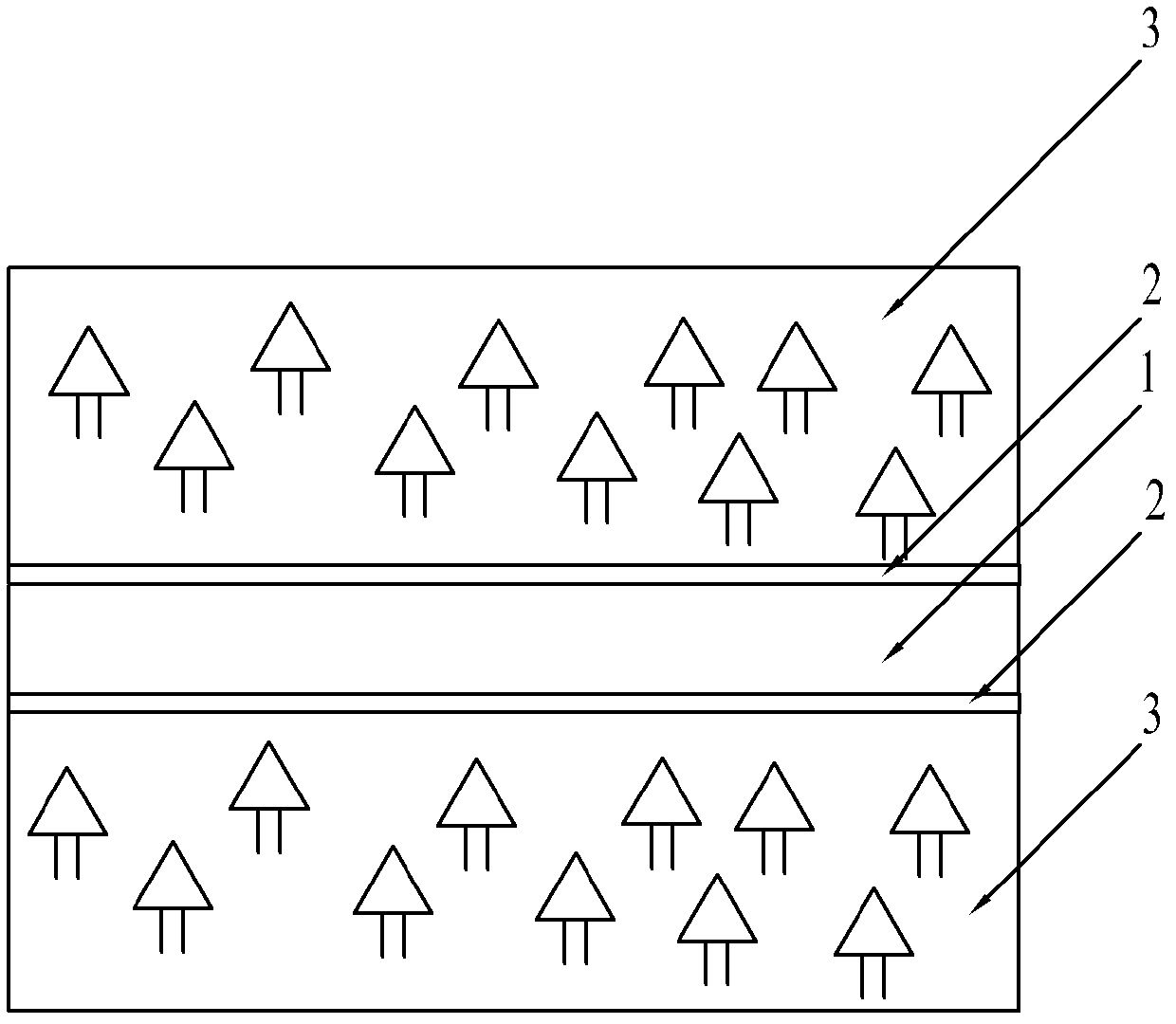 Obstruction system of improved type biological fireproof forest belts and construction method thereof