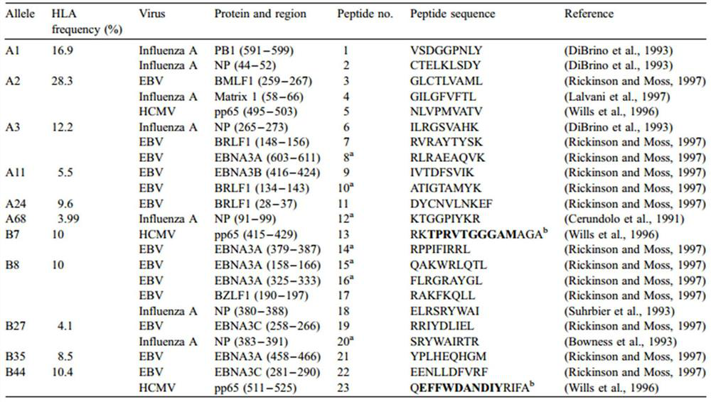 A positive polypeptide pool for tumor vaccine immune response detection and preparation method thereof