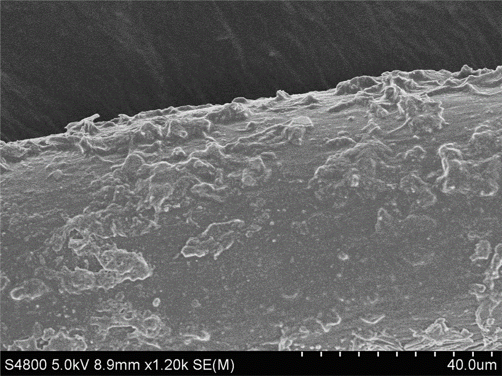 Antiviral and antibiotic fiber, and preparation method and use thereof