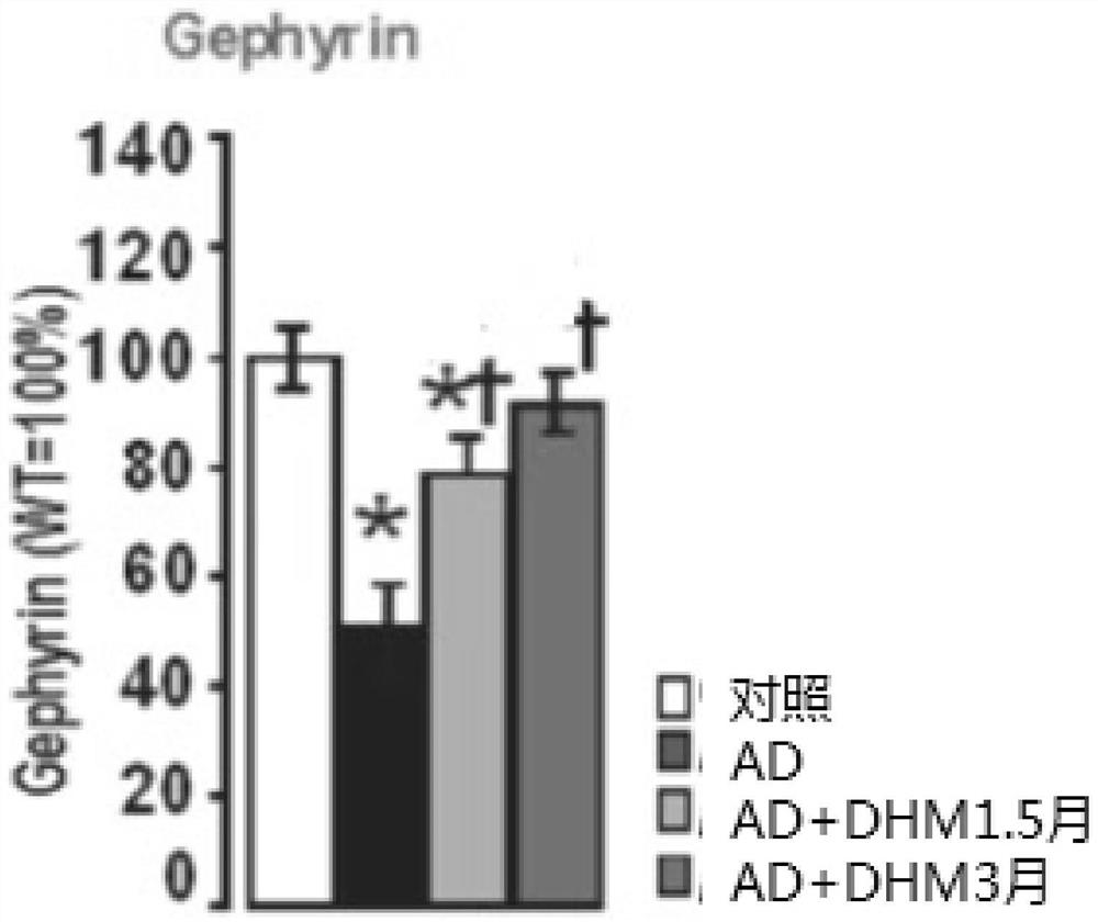 Application of dihydromyricetin as active ingredient in sleep disorder