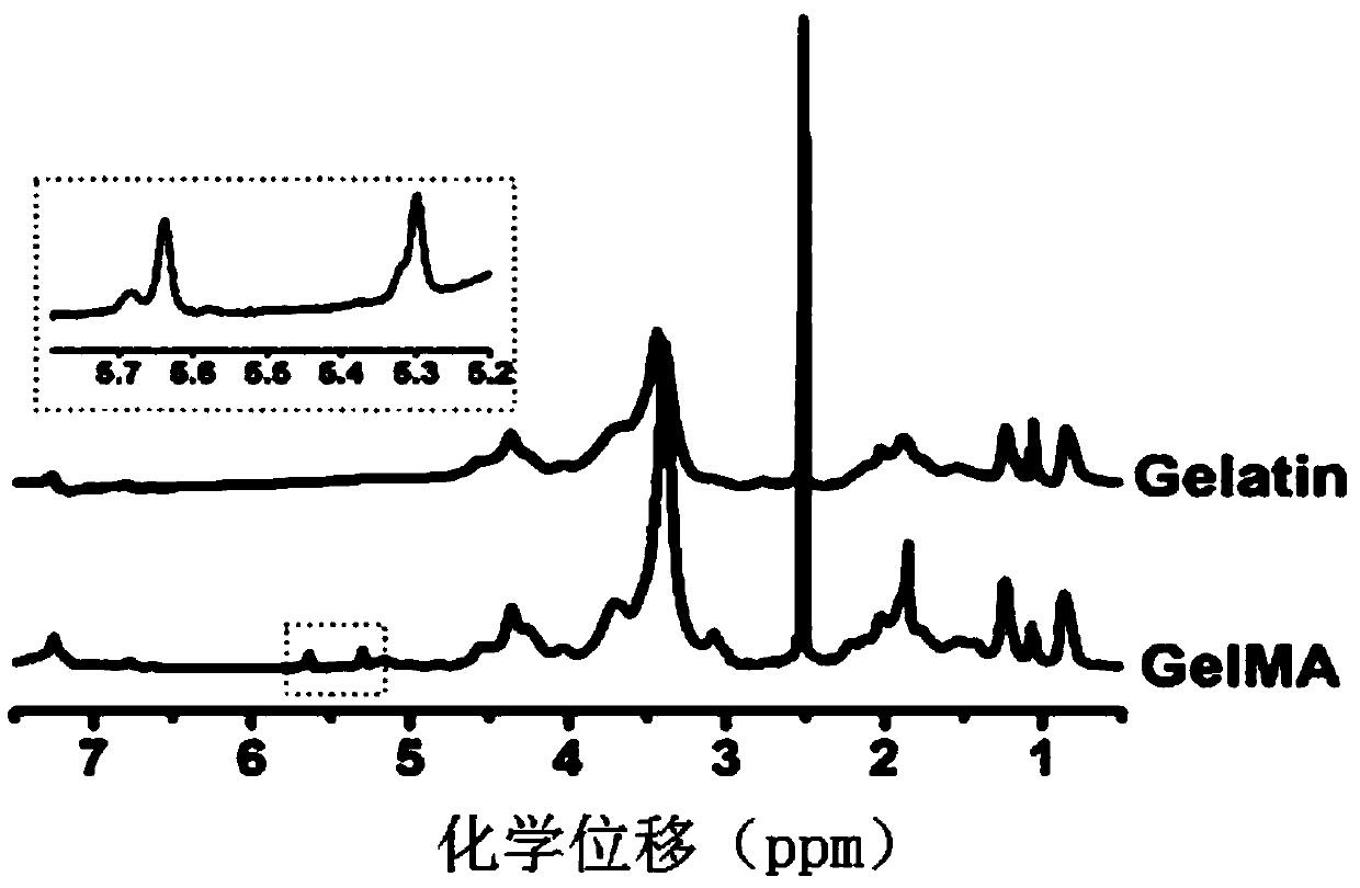 pH-responsive biodegradable high-strength hydrogel and preparation method thereof, and applications in stomach filling agents