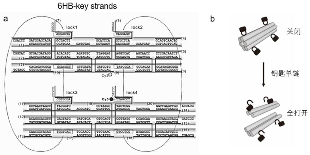 Preparation method of a dna nanorobot drug-loading system and dna nanorobot drug-loading system obtained therefrom