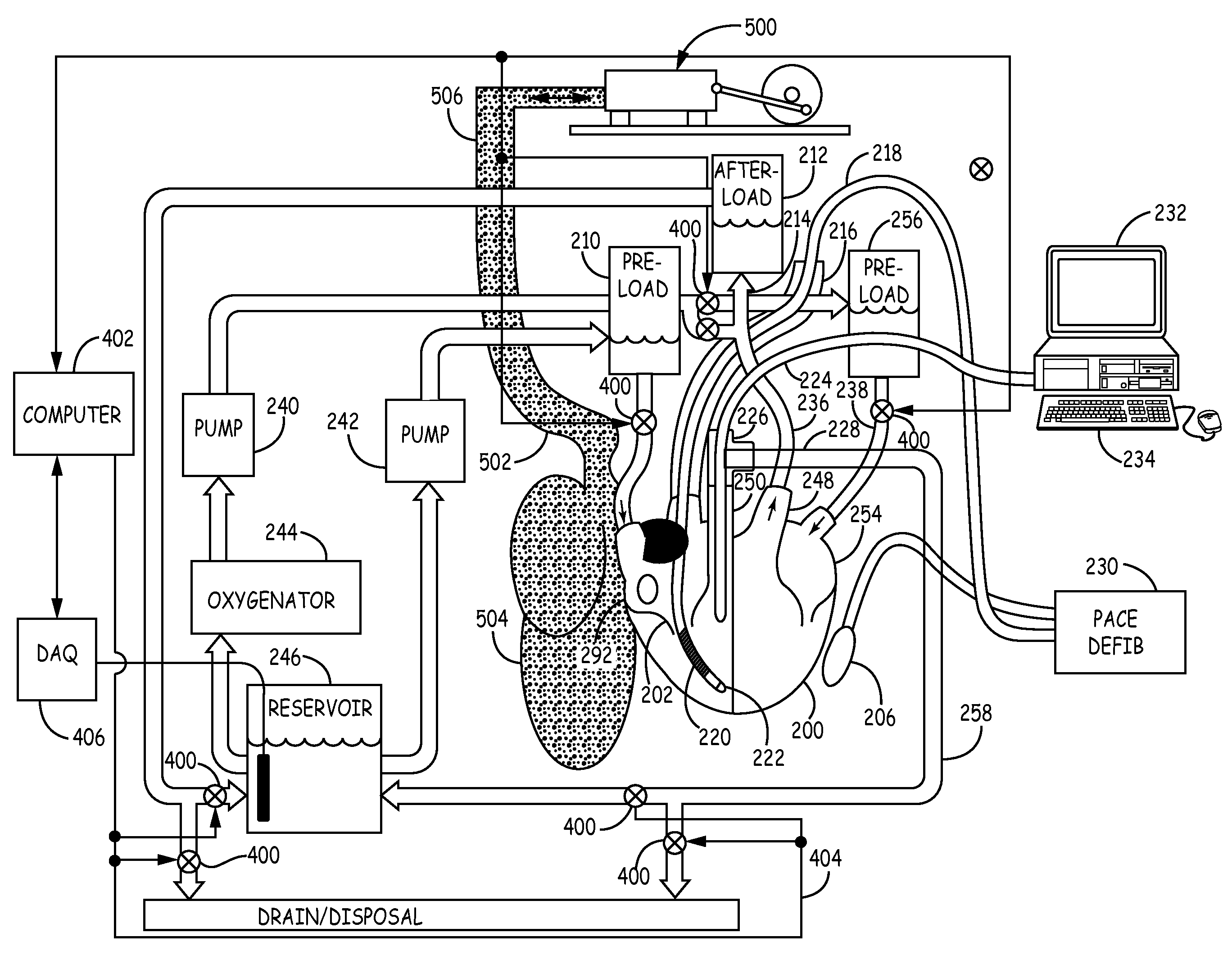 Heart-lung preparation and method of use