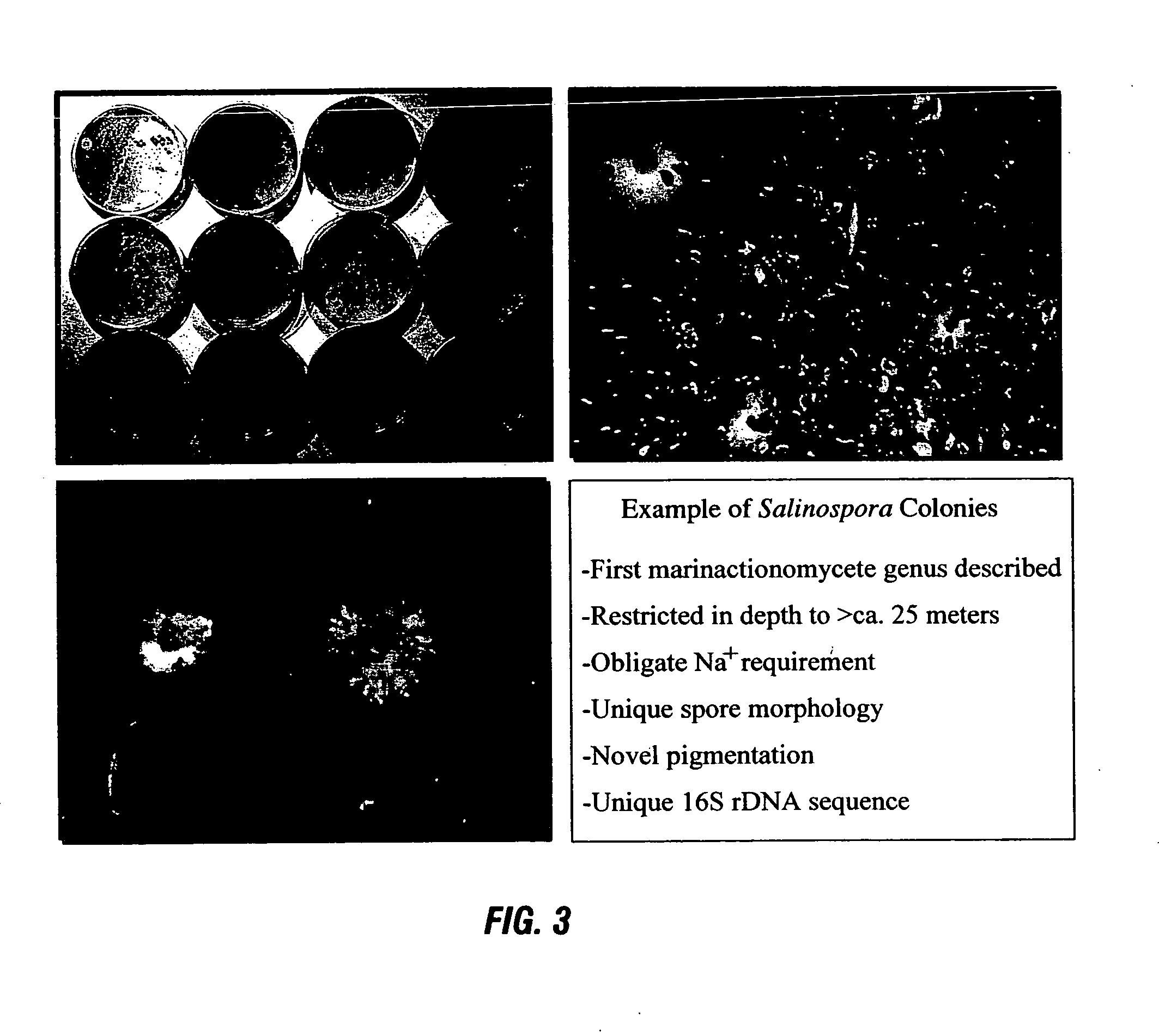 Methods of using [3.2.0] heterocyclic compounds and analogs thereof