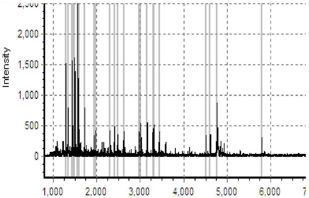 Intelligent spectrum system for detection of biomolecules