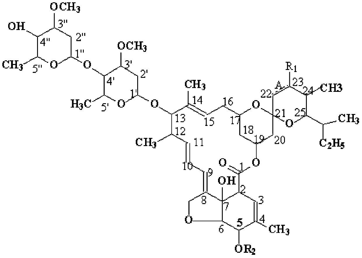 Novel Avermectin derivative and preparation method thereof