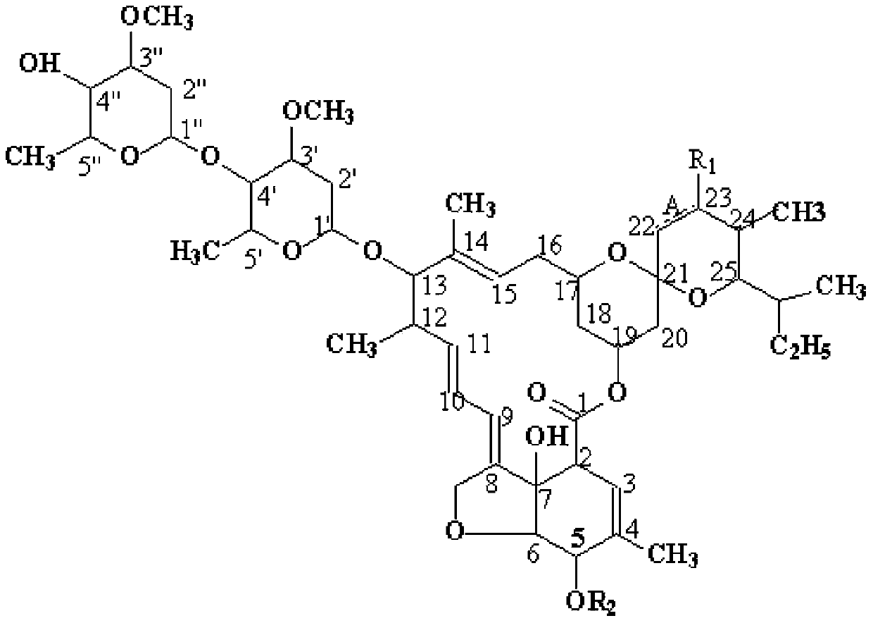 Novel Avermectin derivative and preparation method thereof