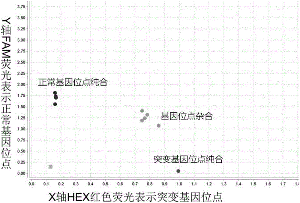 Quick and efficient detection method of mutation sites of genes associated with corneal dystrophy