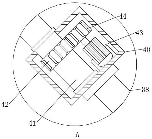 A rapid diagnosis device for forestry diseases and insect pests