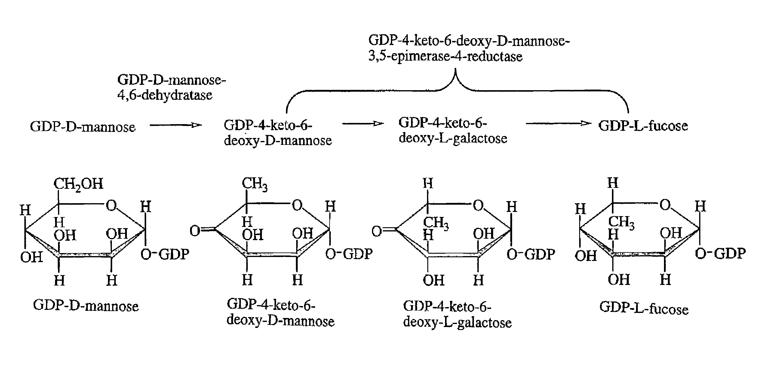 Gdp-4-keto-6-deoxy-d-mannose-3,5-epimerase-4-reductase gene derived from arabidopsis thaliana