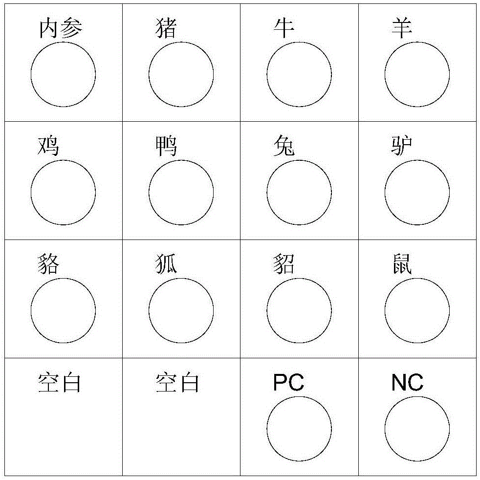 Animal-derived component detection kit