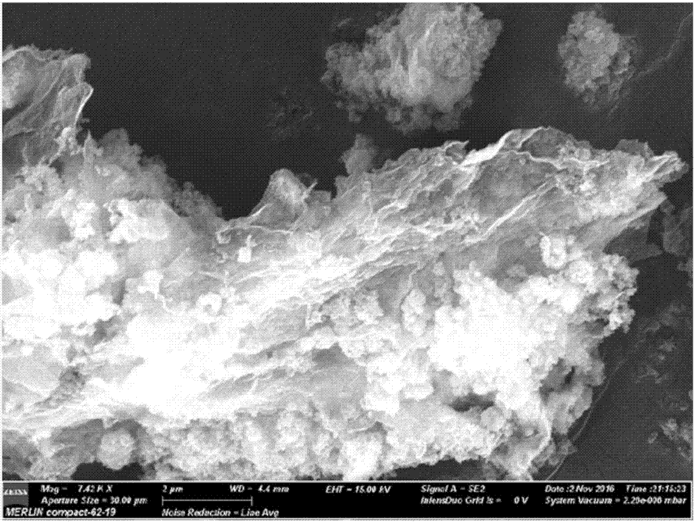 Lithium metasilicate doped graphene lithium ion battery anode material and preparation method thereof