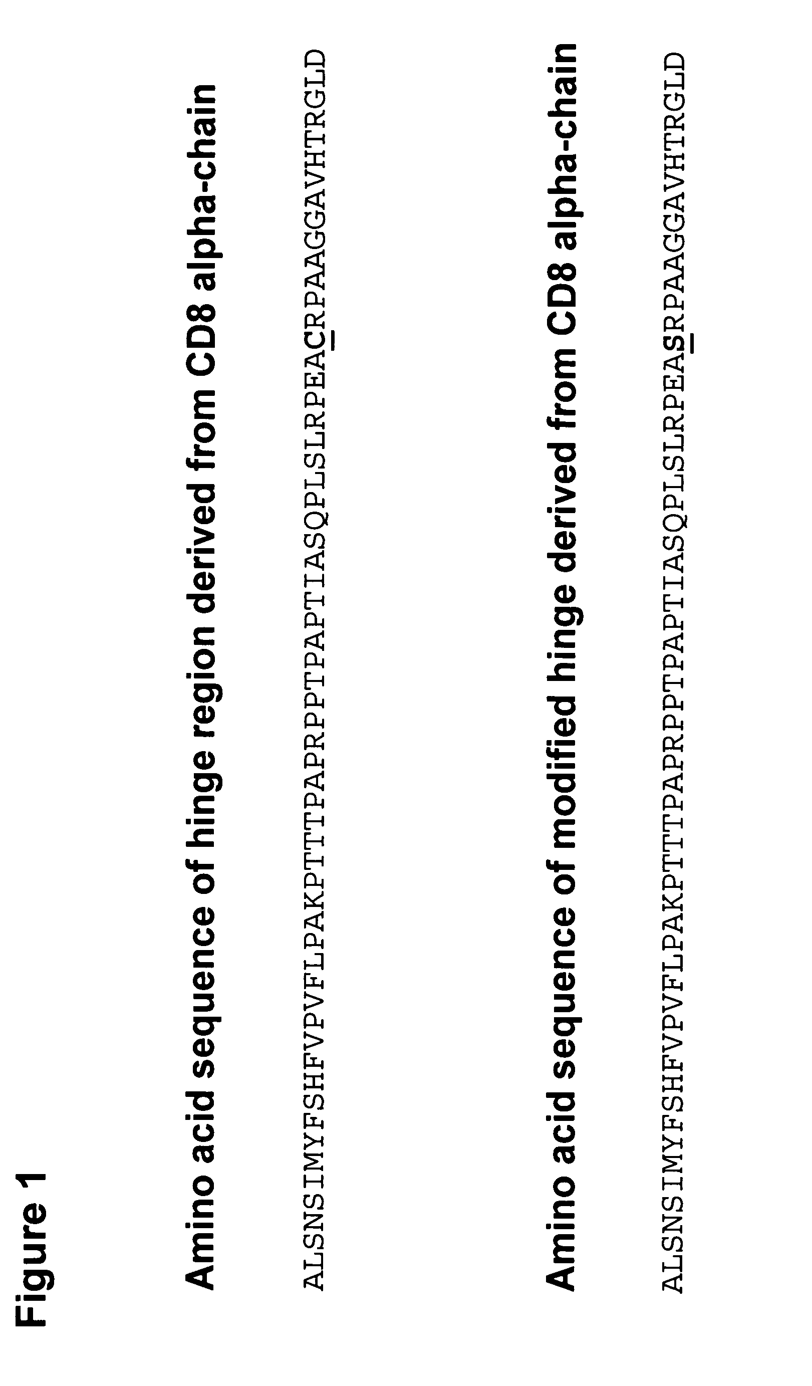 Chimeric antigen receptors with an optimized hinge region