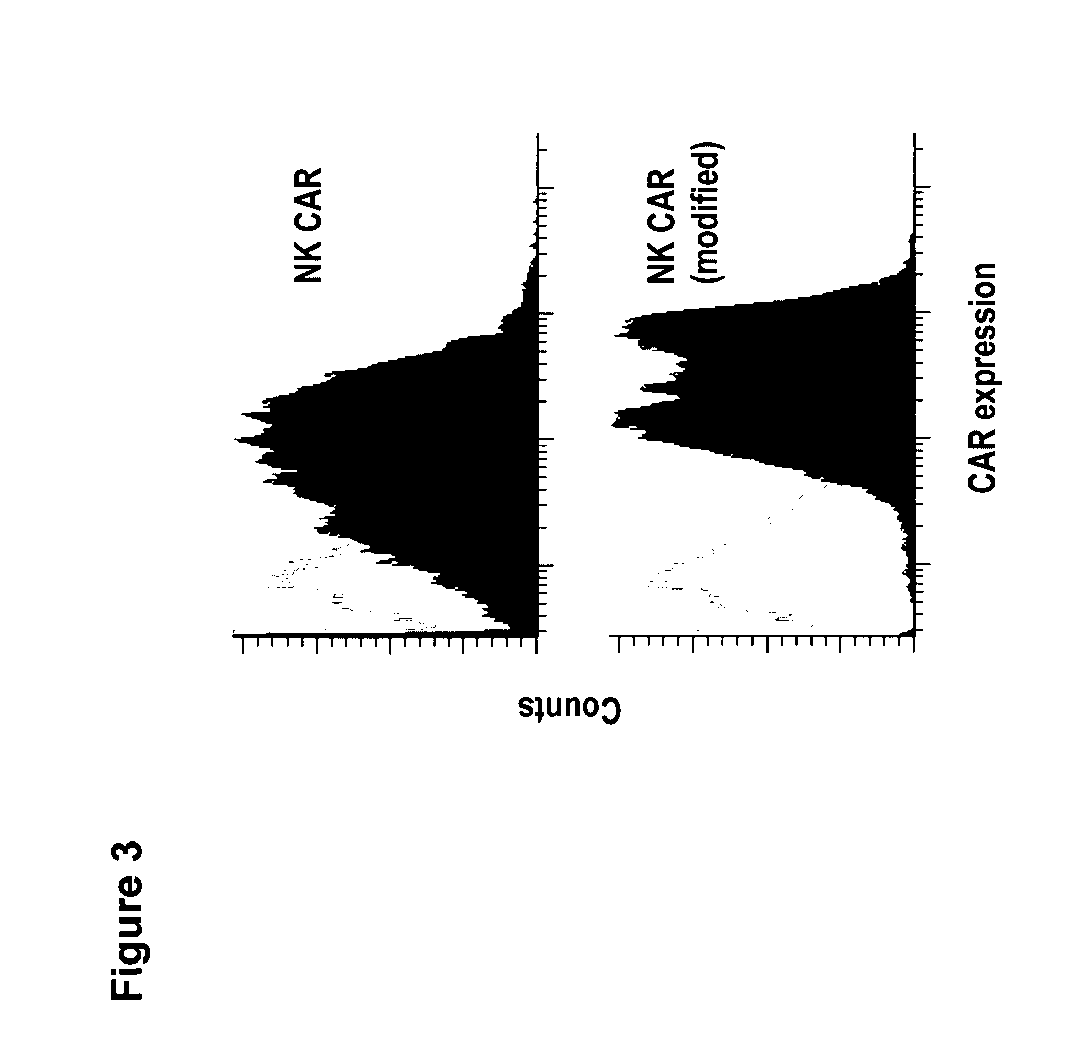 Chimeric antigen receptors with an optimized hinge region