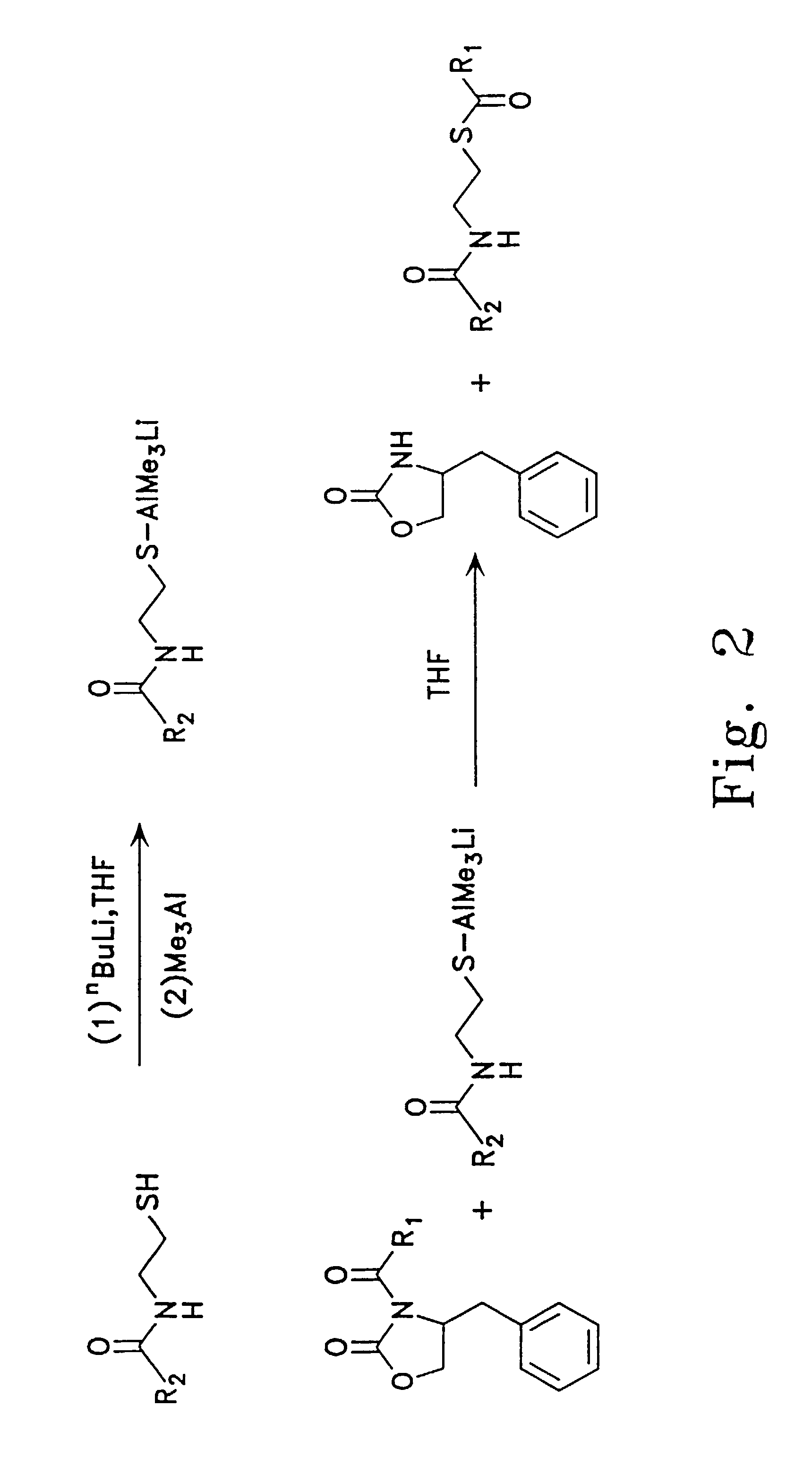 Polyketides and antibiotics