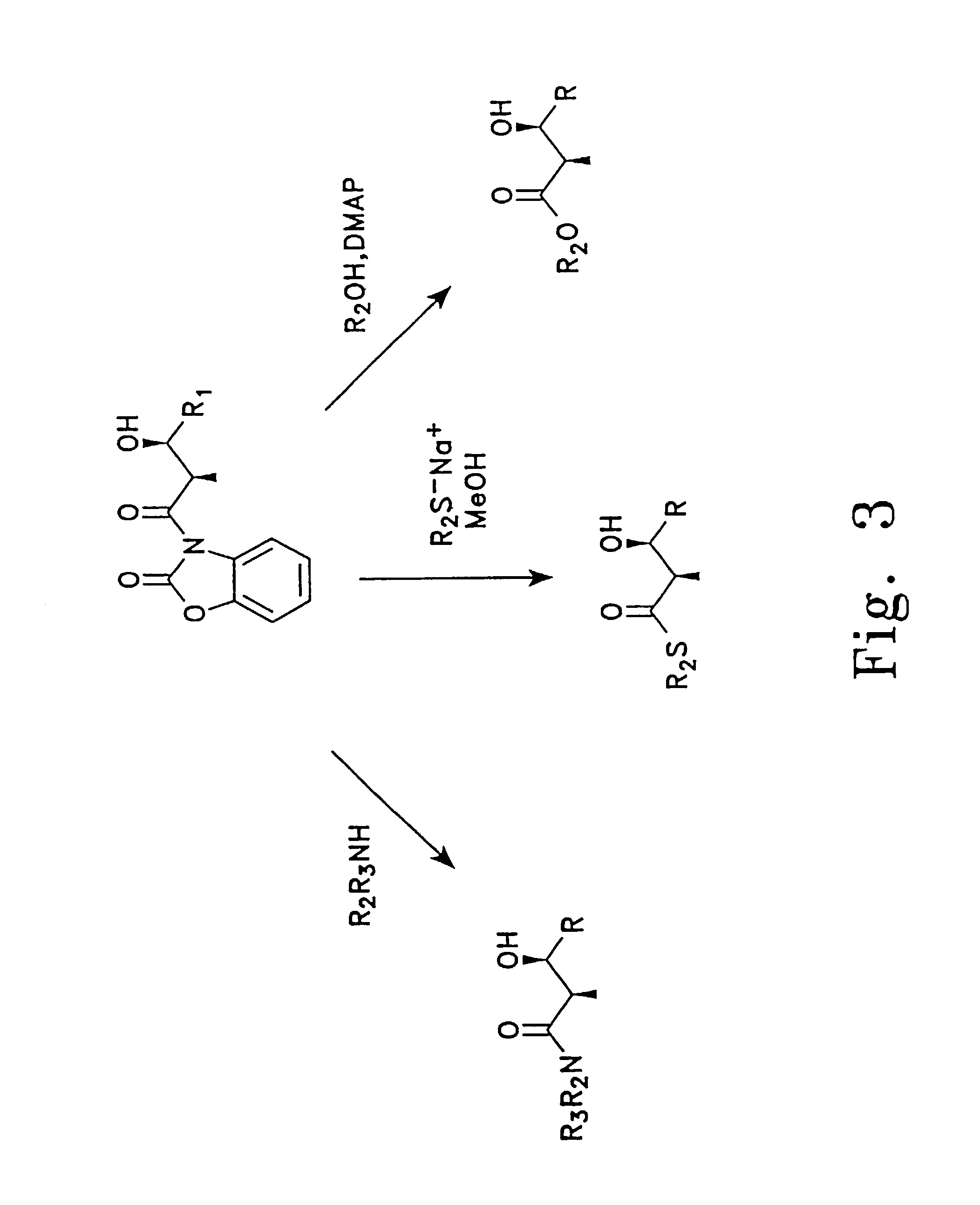 Polyketides and antibiotics