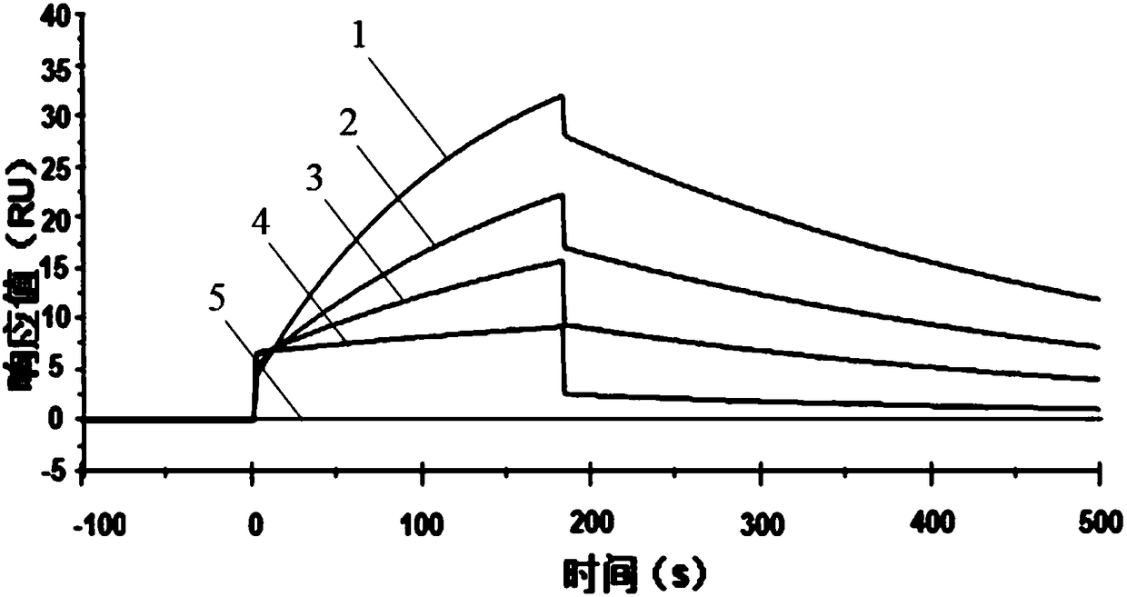 Applications of cefalotin sodium in anti-leukemia drugs