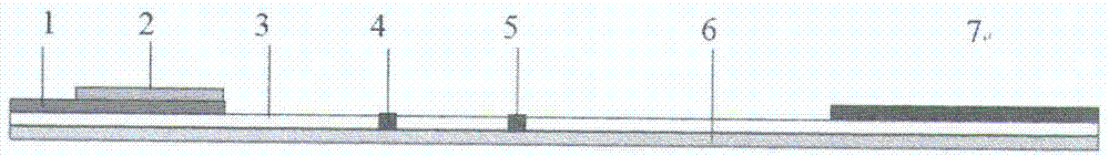 Preparation method and application of nucleic acid lateral flow test strip for detecting listeria monocytogenes