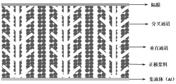 Preparation method of lithium ion battery positive plate