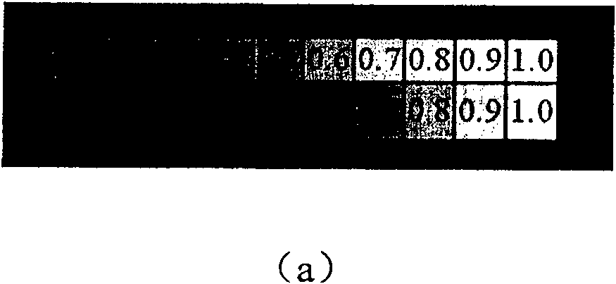 Method and apparatus for emending gamma characteristic of video display equipment in video communication