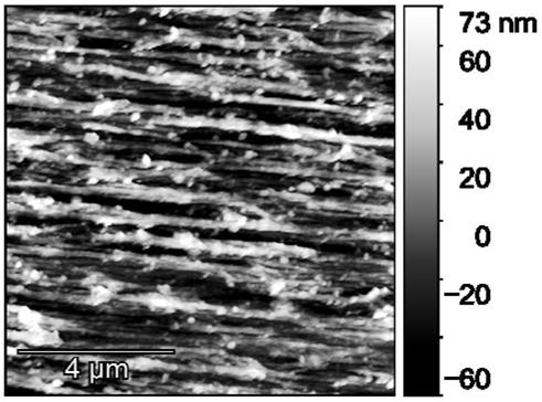 Highly oriented cellulose aerogel and preparation method thereof