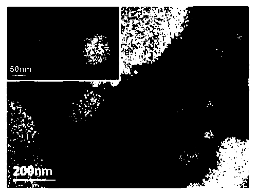 Targeted ultrasonic phase-change bimodal imaging nano contrast agent and preparation method and application thereof