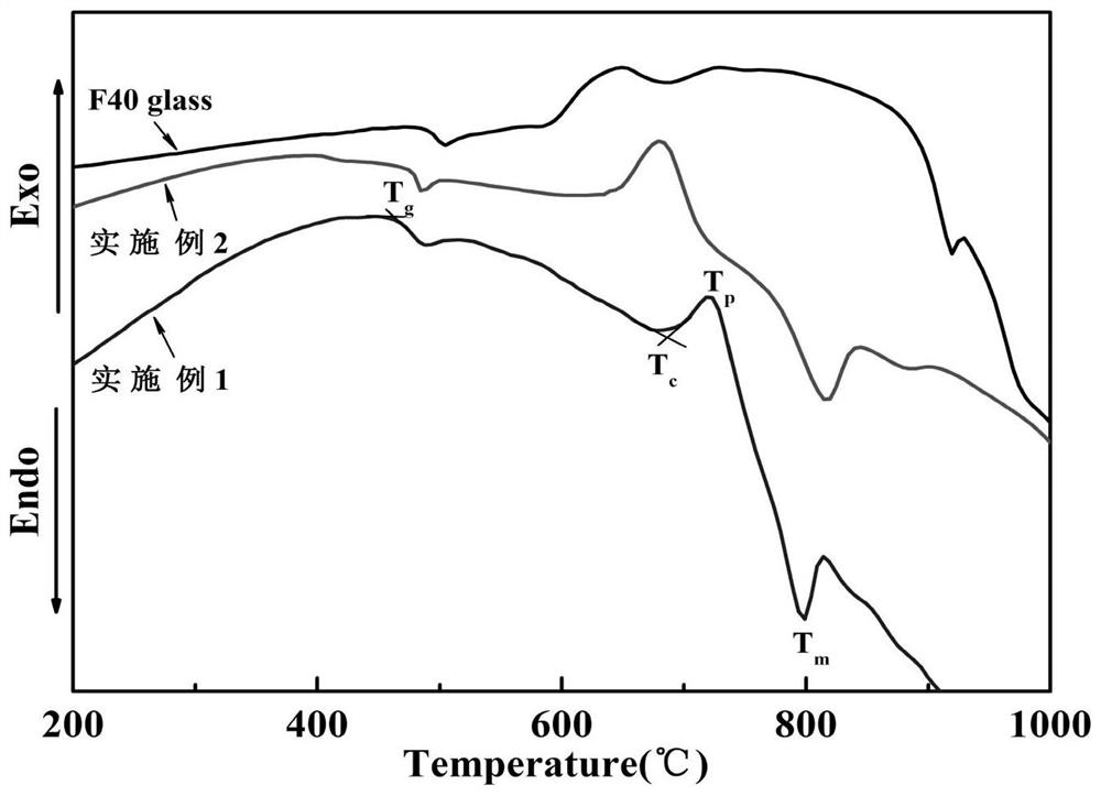 Glass solidified body synergistically solidifying SrF2 and high-sodium high-iron waste and preparation method thereof