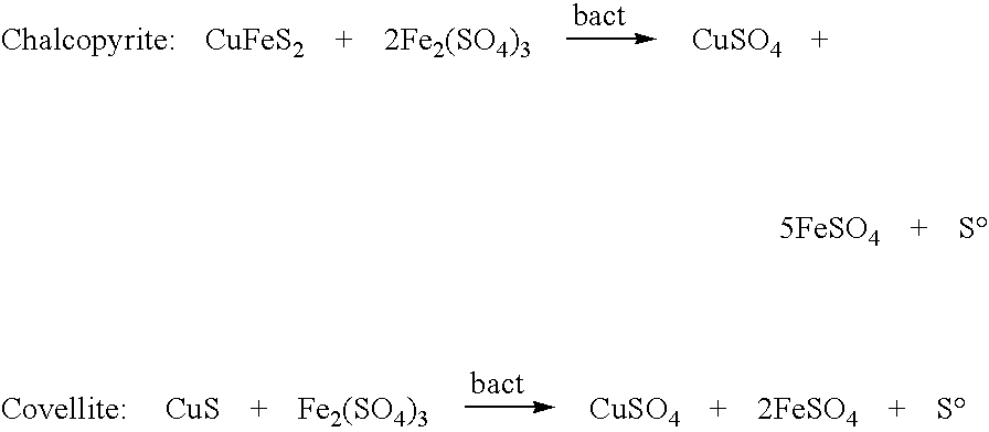 Bacteria strain wenelen DSM 16786, use of said bacteria for leaching of ores or concentrates containing metallic sulfide mineral species and leaching processes based on the use of said bacteria or mixtures that contain said bacteria