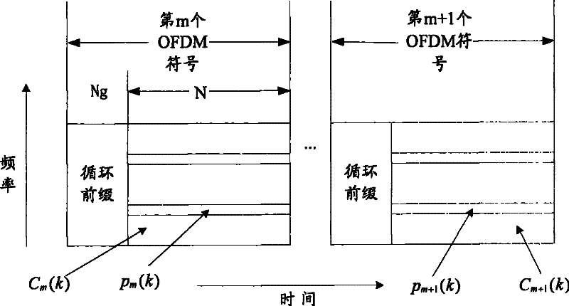 Synchronous estimation method and system for orthogonal frequency division multiplexing technique